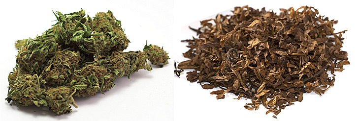 Kannabis muka vaarallisempaa kuin tupakka